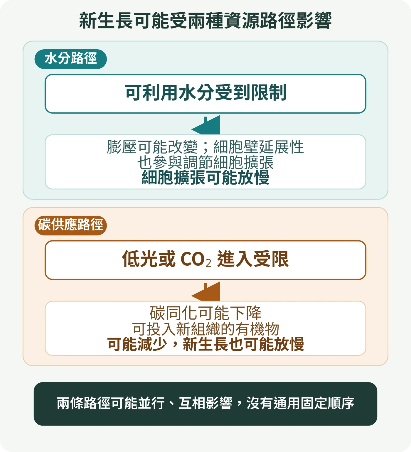 兩條並列箭線示意圖：水分受限可能影響膨壓和細胞擴張；低光或二氧化碳進入受限可能降低碳同化，減少新組織可用的有機物